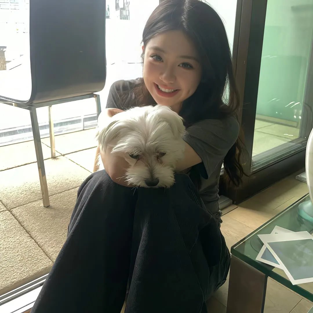 合约杀手